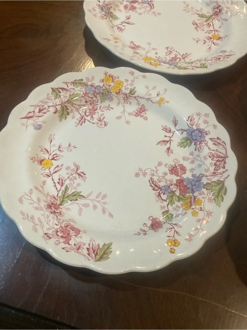 SR Ridgeway Ironstone Staffordshire England “ English Garden 6 piece set